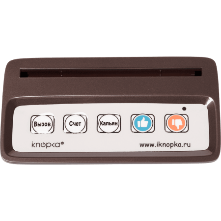 Кнопка вызова iKnopka APE150