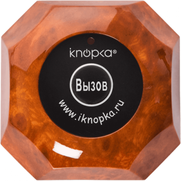 Кнопка вызова iKnopka APE560