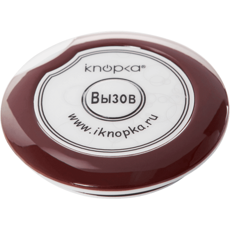 Кнопка вызова iKnopka APE700