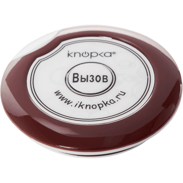Кнопка вызова iKnopka APE700